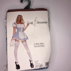 Women’s “The Wizard of Oz’s Dorothy” Lt Blue Peasant Dress costume plus Toto